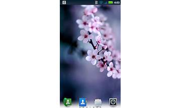 Cherry blossoms for Android - Download the APK from Habererciyes